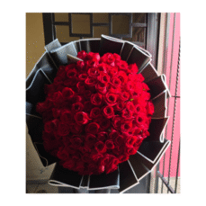 100 Rosas rojas en ramo