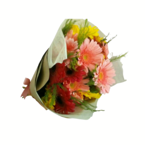 Gerberas multicolores